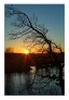 Sonnenuntergang im Winter an der Ruhr  © 2025 René Göke